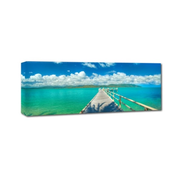 Doug Cavanah 'Palm Bay Paradise' Canvas Art,8x24